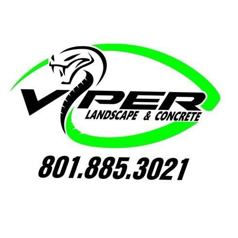 Viper landscape and concrete