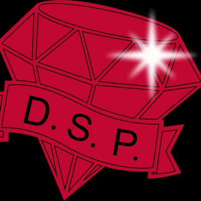 Avatar for DIAMOND SOUND PRODUCTION LLC