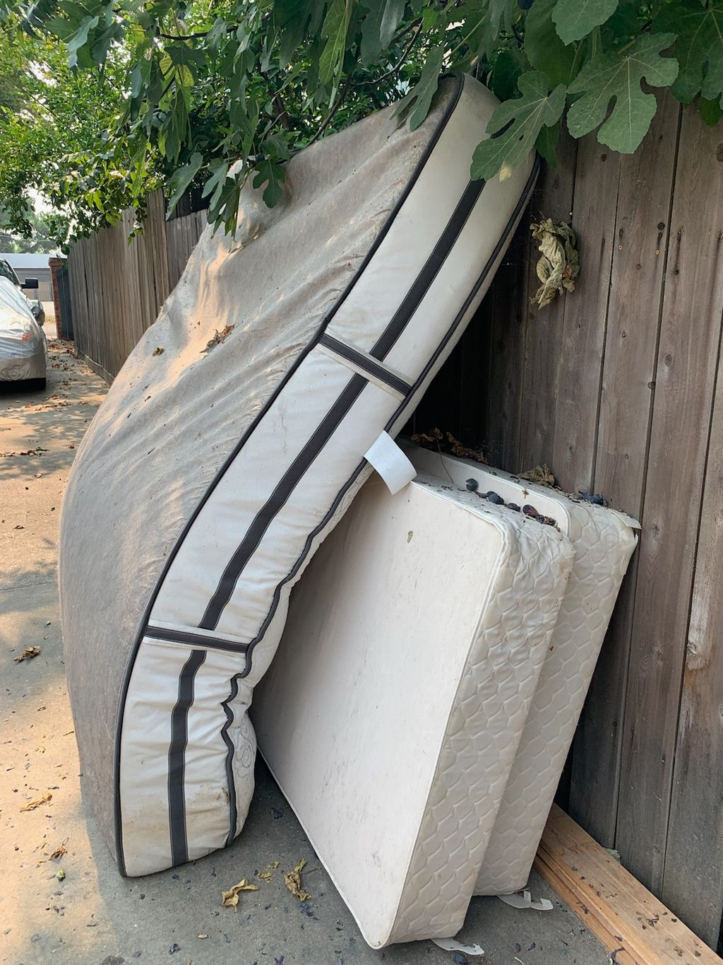 matress removal