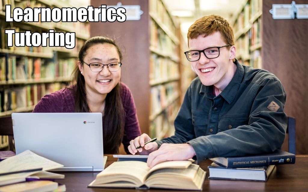 Learnometrics Tutoring