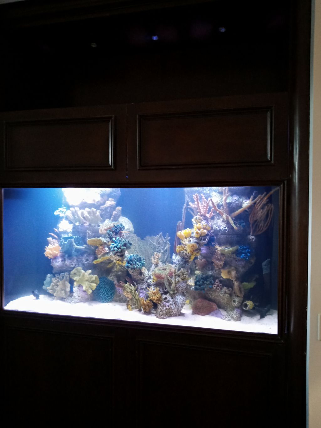 Aquarium Services