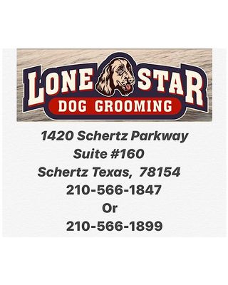 The 10 Best Mobile Dog Groomers In Schertz Tx With Free Estimates