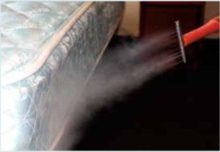 Kill beg bugs on contact