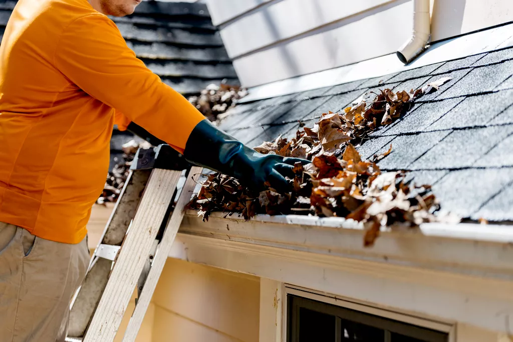 removing leaves from gutter