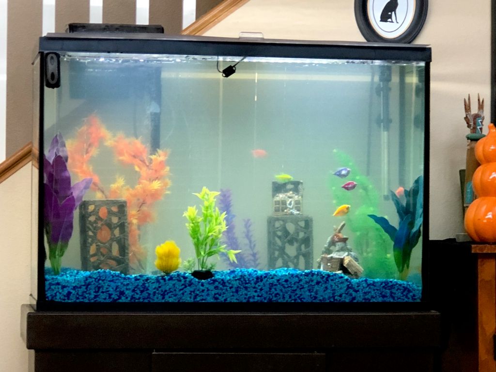 Customer photos