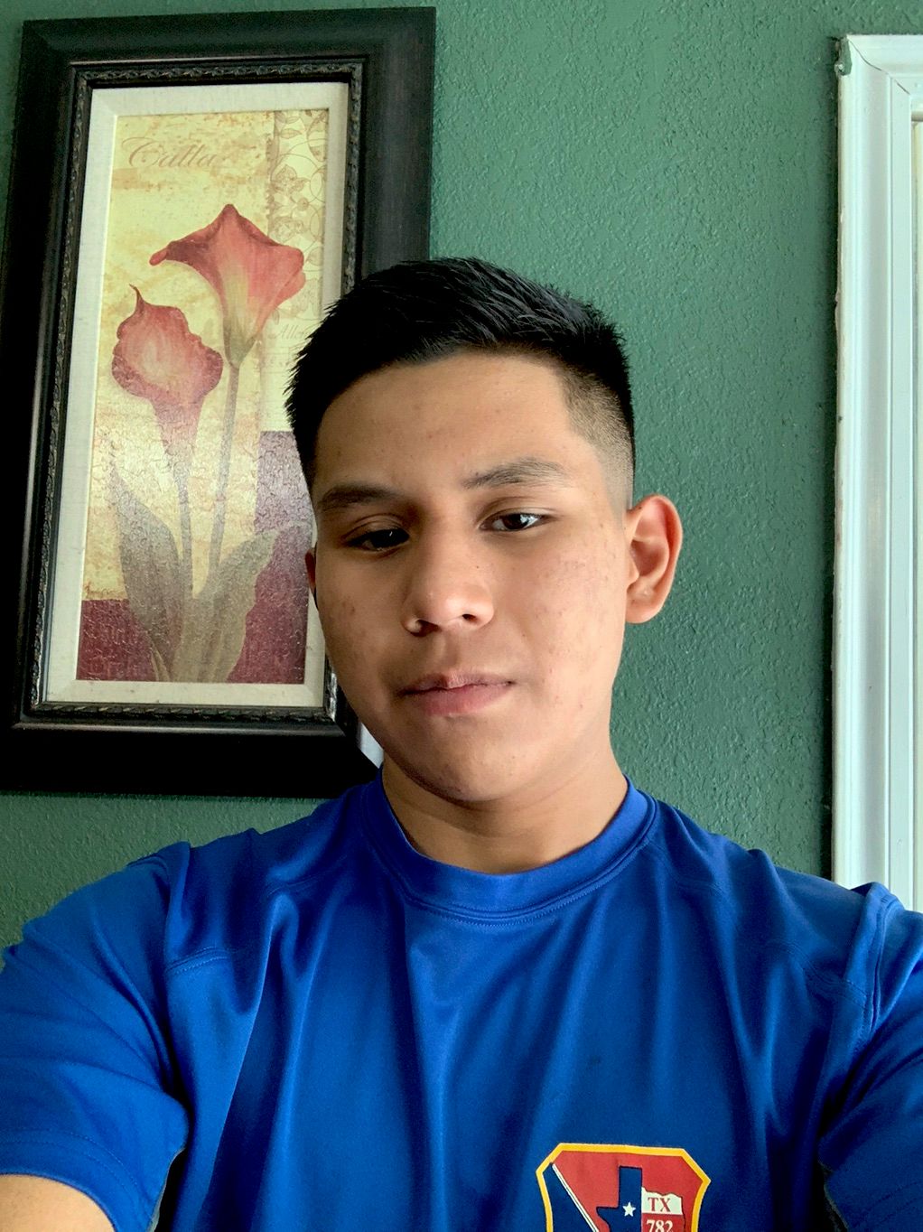 Reyes landscaping