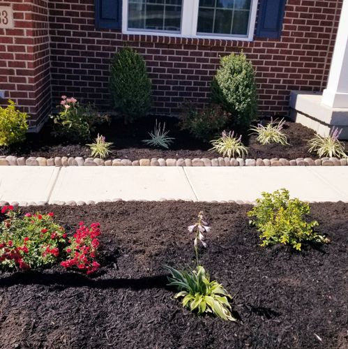 Andrew did a great job planting shrubs, small tree