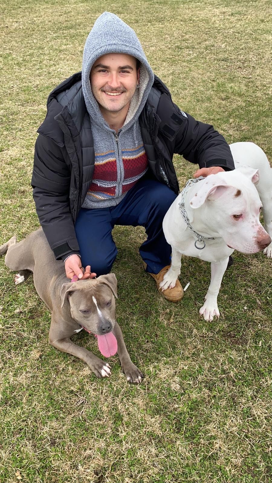 Netto & filho construction