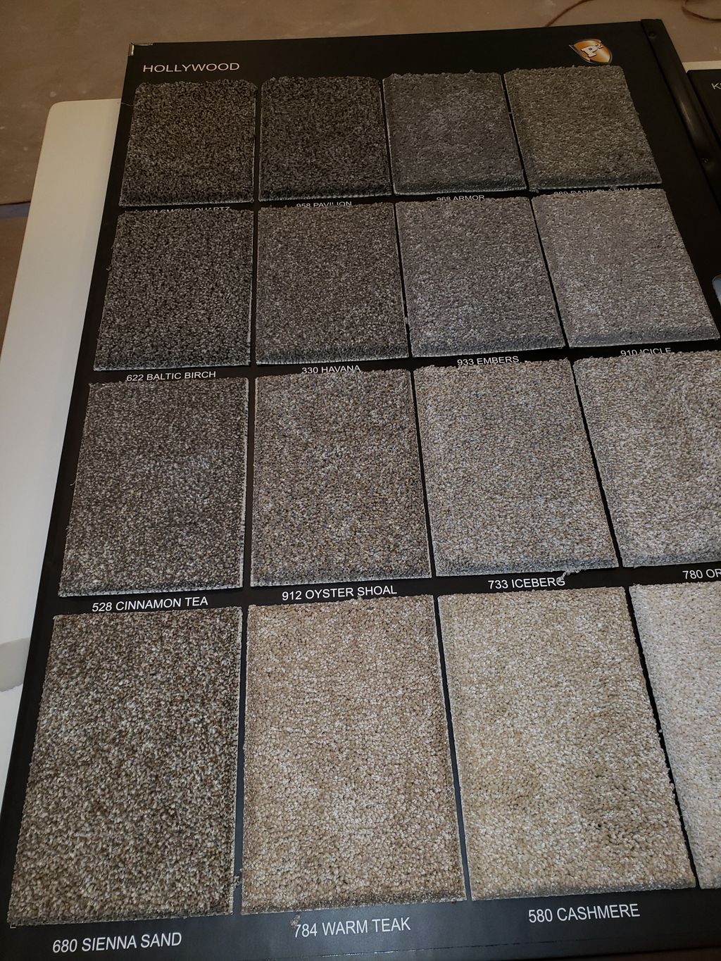 Carpet Repair or Partial Replacement