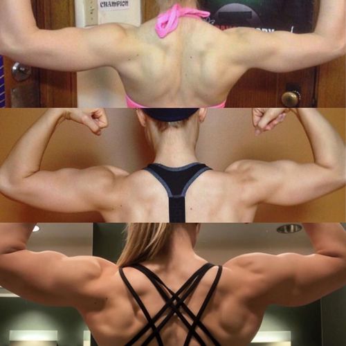 My own muscle building transformation in the arms 