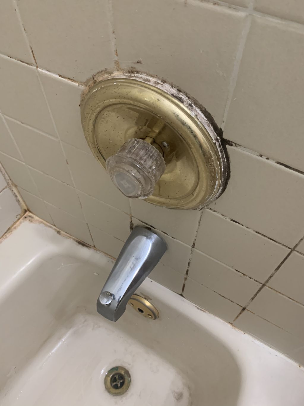 Shower Tile before 