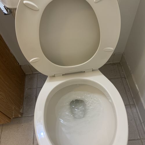 Toilet bowl after cleaning 