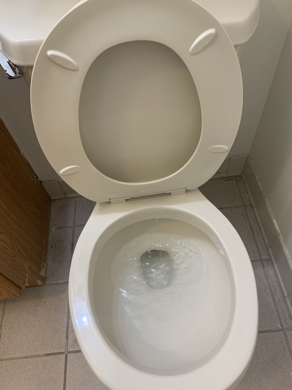 Toilet bowl after cleaning 