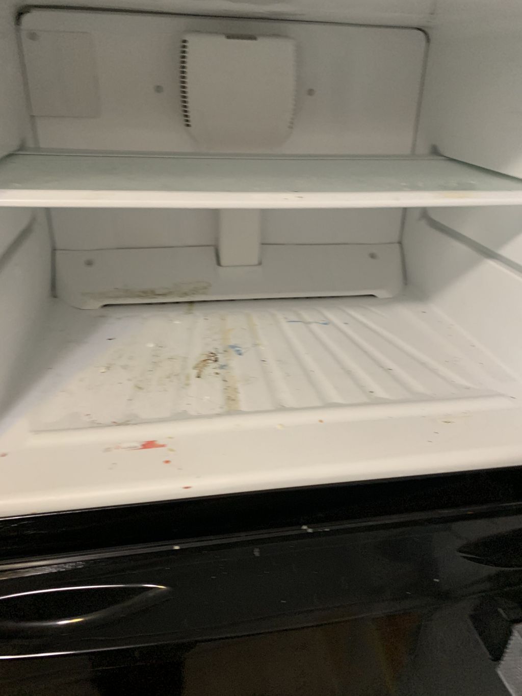 Freezer before