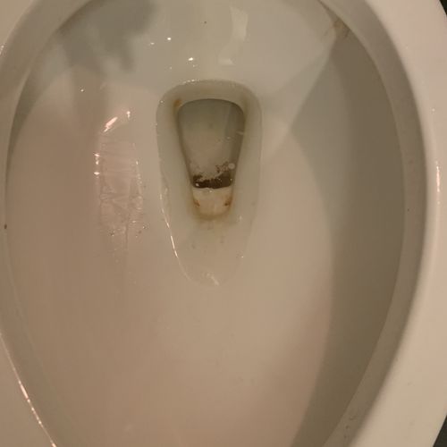 Toilet bowl before cleaning 
