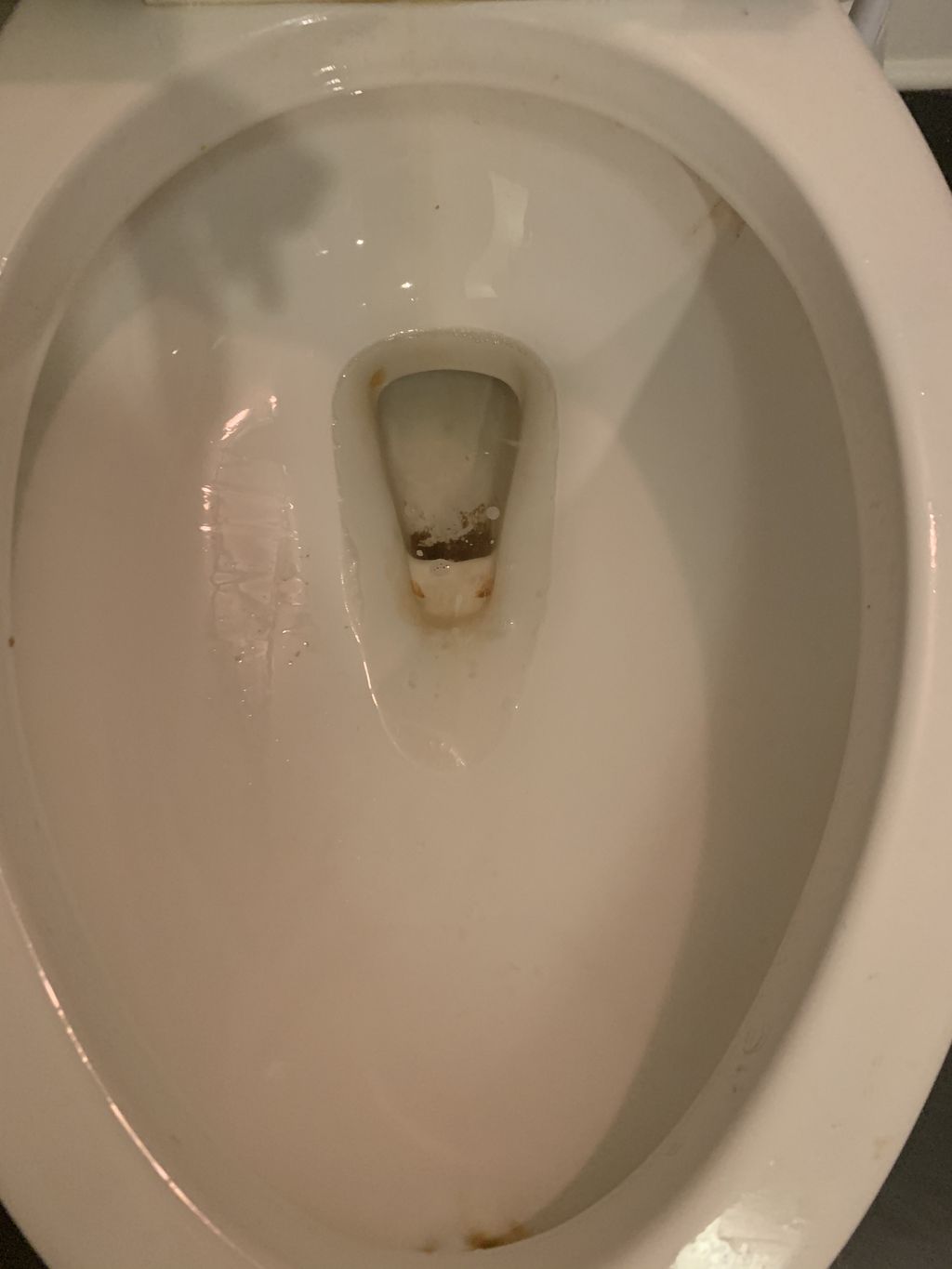 Toilet bowl before cleaning 