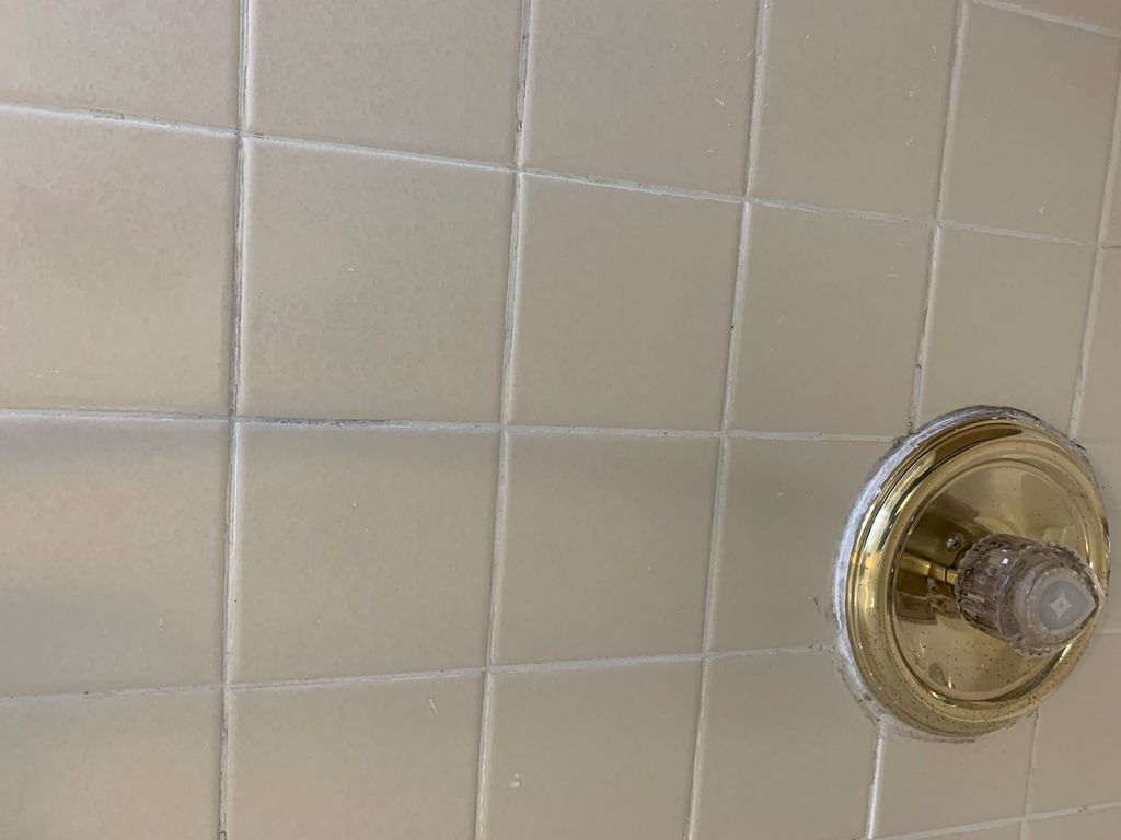 Shower Tile after