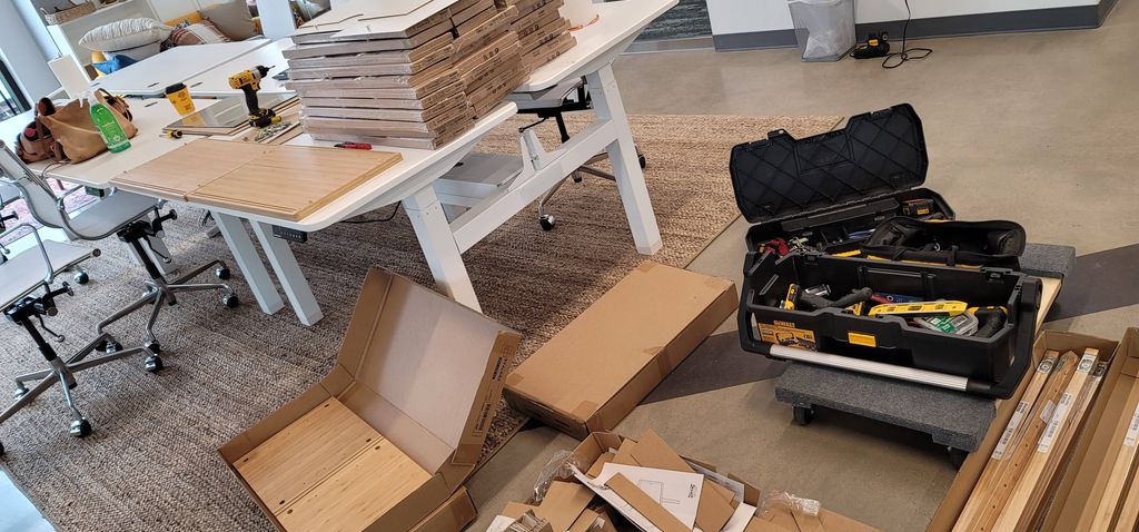 Projects and media