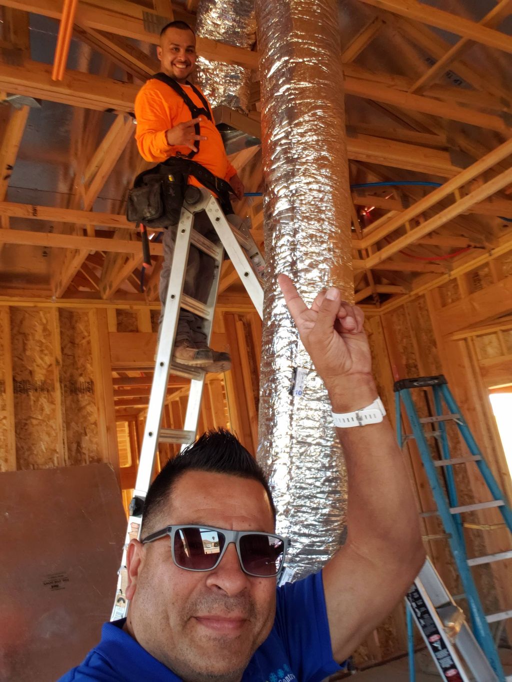 Projects and media