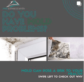 Mold Inspections Available