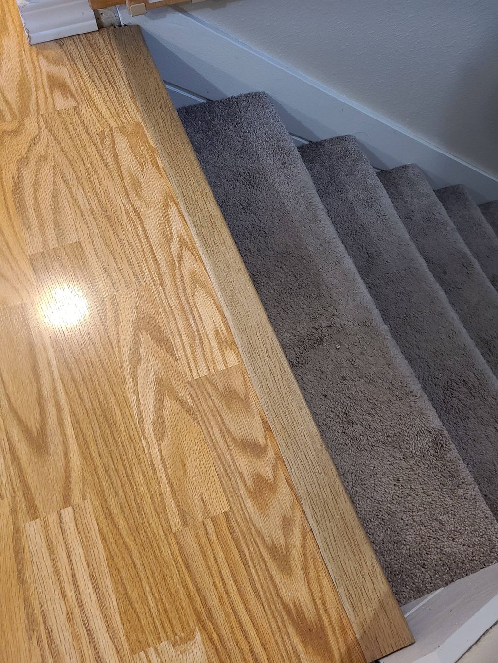 Customer photos