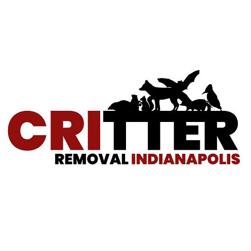 Critter Removal