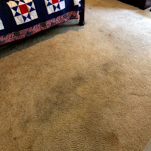 Josh did an excellent job. I had a carpet cleaner 