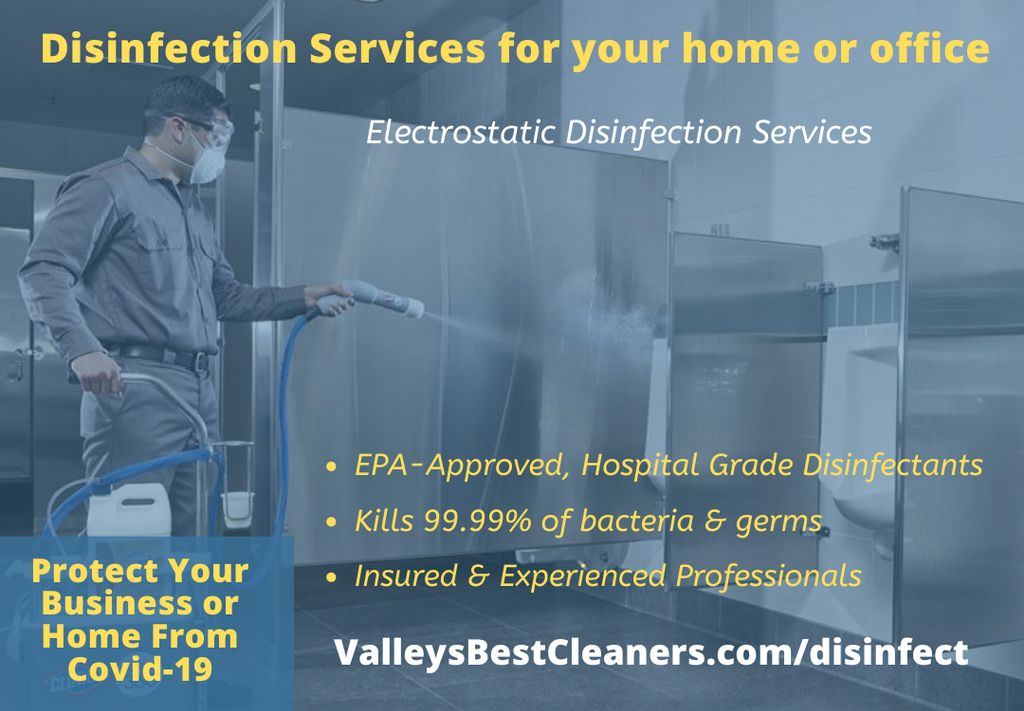 Electrostatic Disinfection