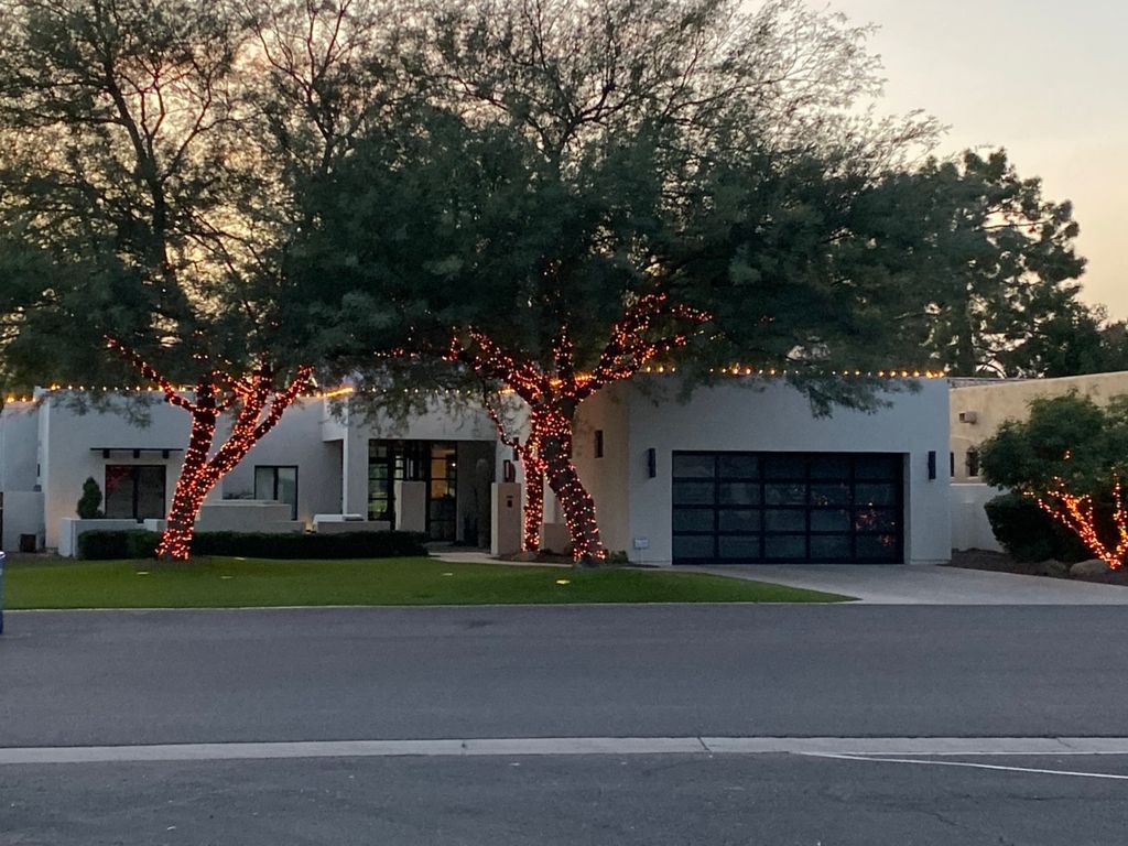 Multi Colored Trees,  C9 Lights Roof Line