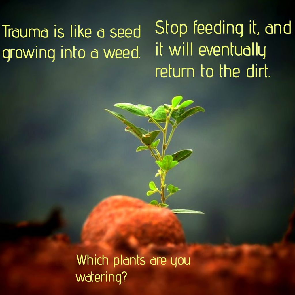 the grass is greener where you water it...