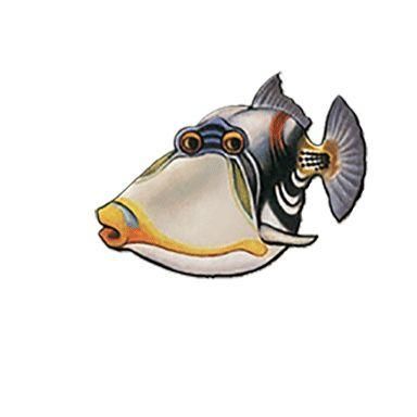 Avatar for Picasso Exotic Aquatics