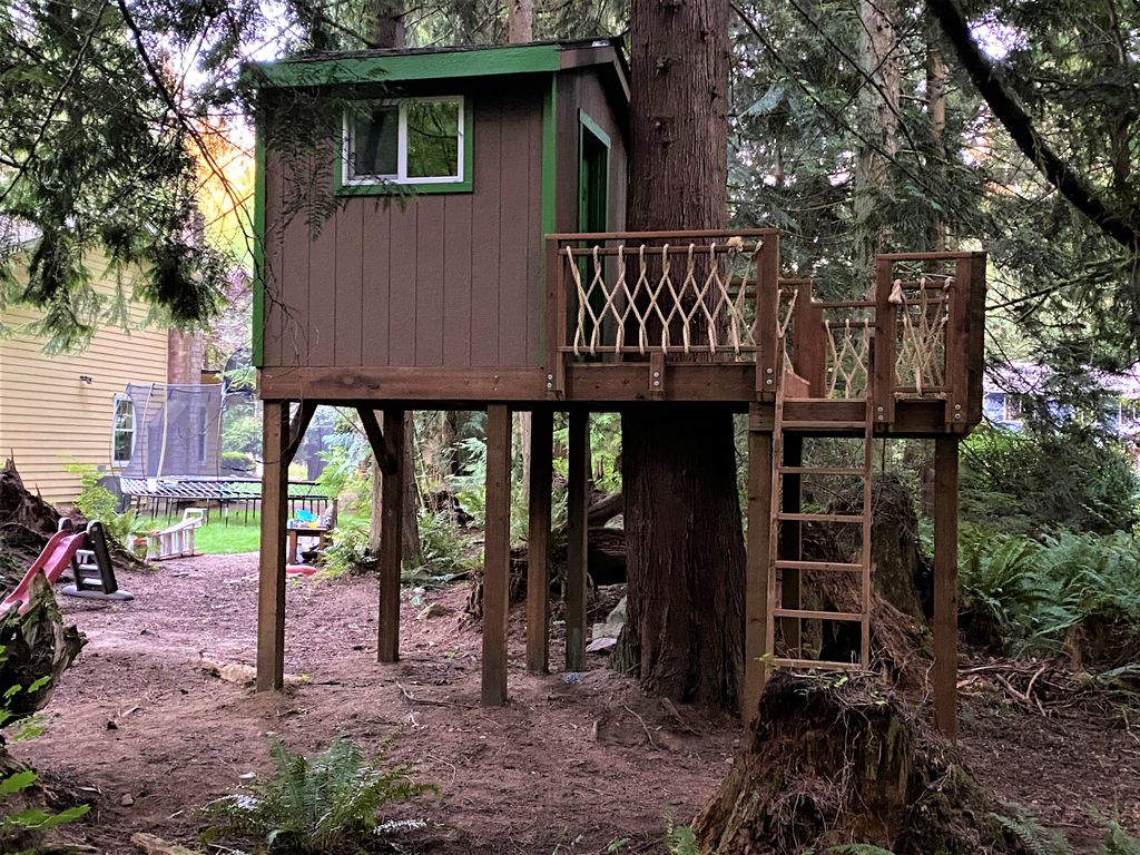 Tree House Construction