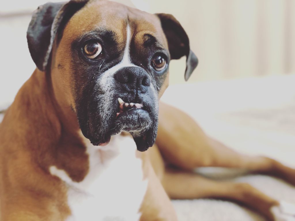 How handsome!