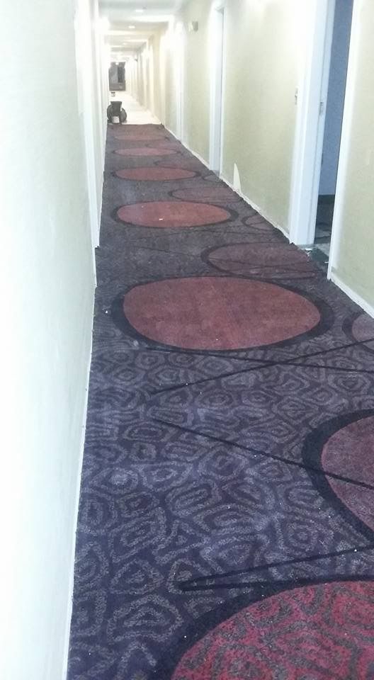 Romeo Carpet & Flooring, Llc