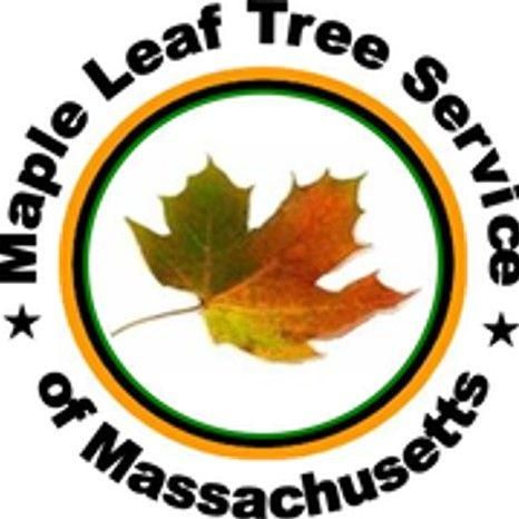 Maple Leaf Tree Service of Massachusetts