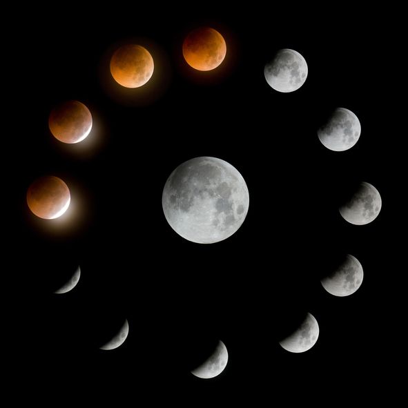 The Lunar Cycles
