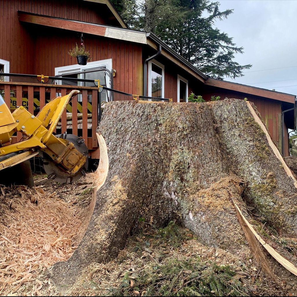 Sparkuhl stump grinding