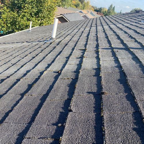 Roof Cleaning