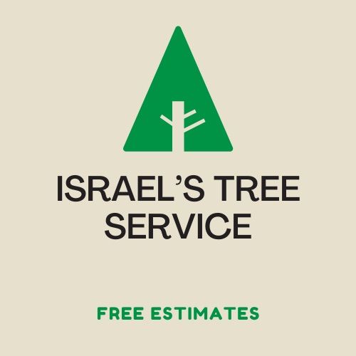 Israel’s Tree Service