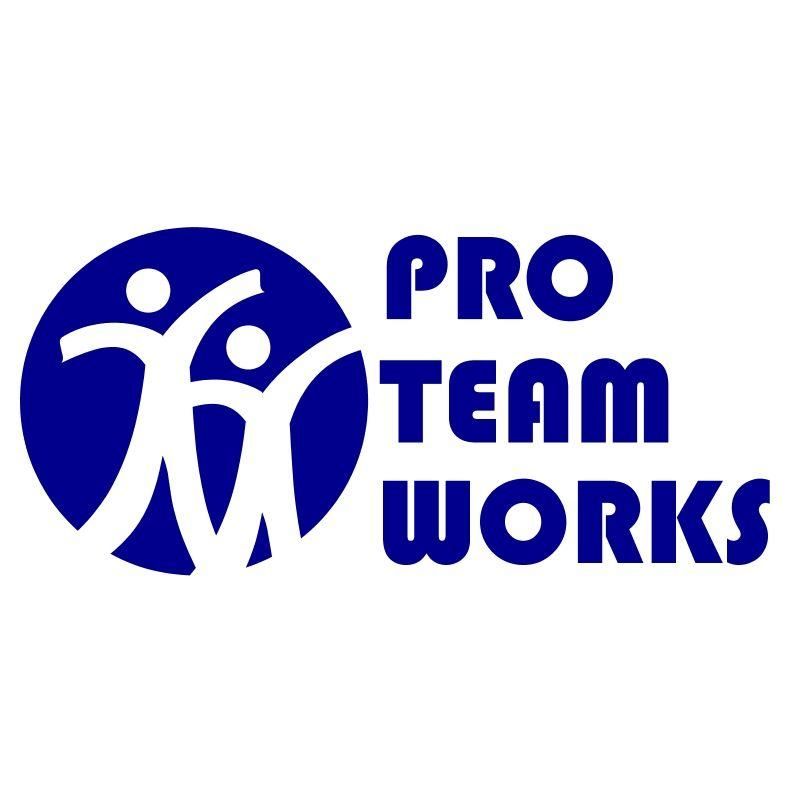Pro Team Works Inc.