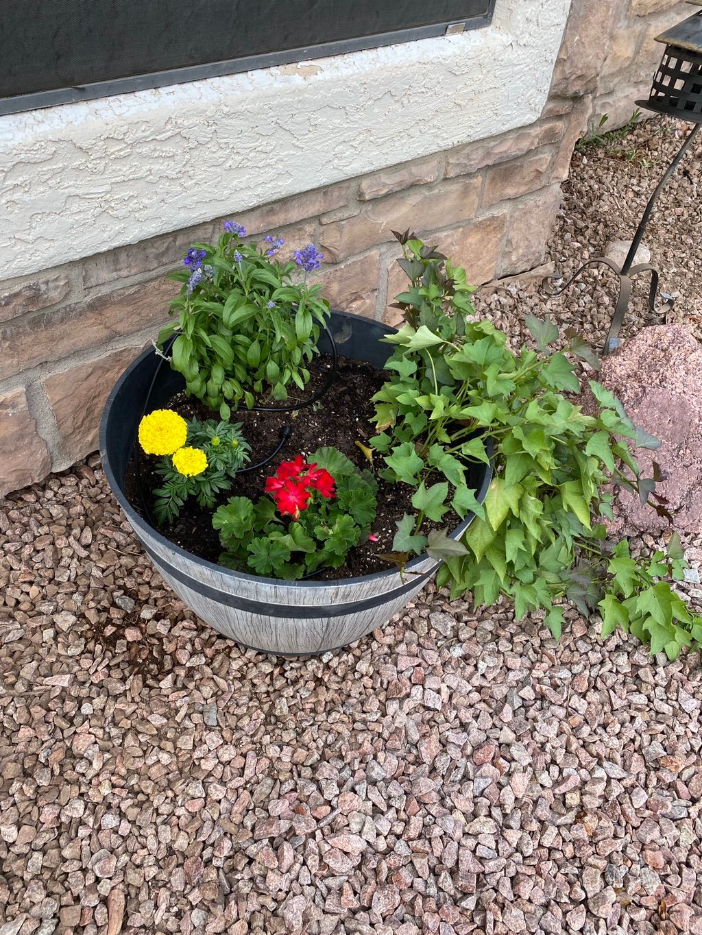 Customer photos