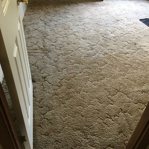 Carpet Removal