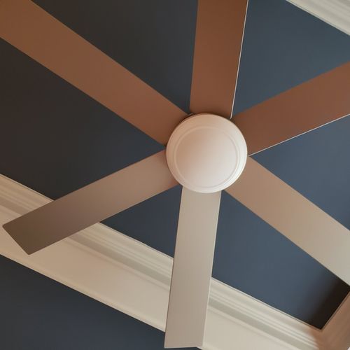 Very knowledgeable and professional, hung a fan & 