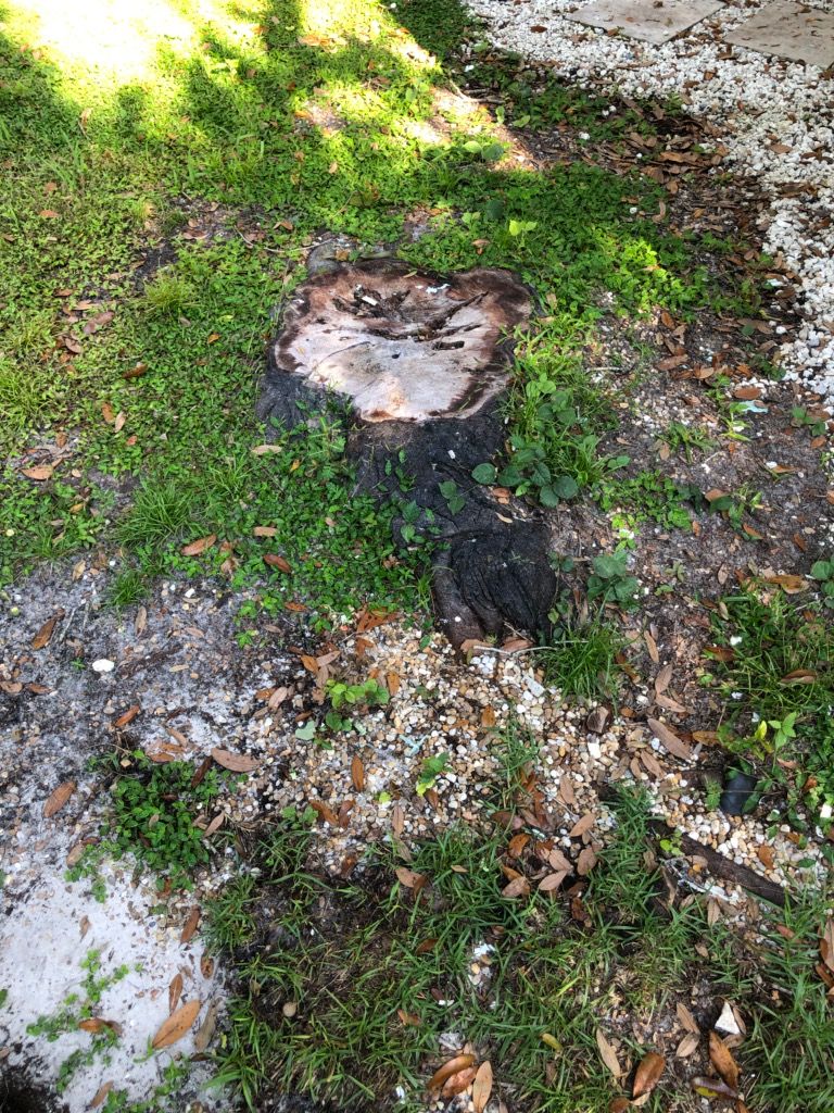 Tree Stump Grinding and Removal