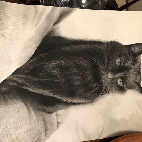 Love the charcoal rendering of my precious cat Beb