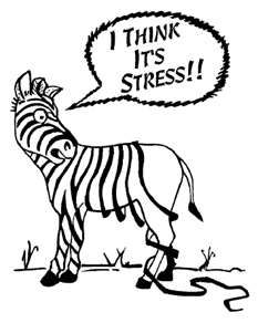 I think it's the stress. 