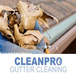 Clean Pro Gutter Cleaning Virginia Beach