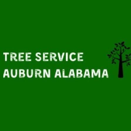 Tree Service Auburn Alabama