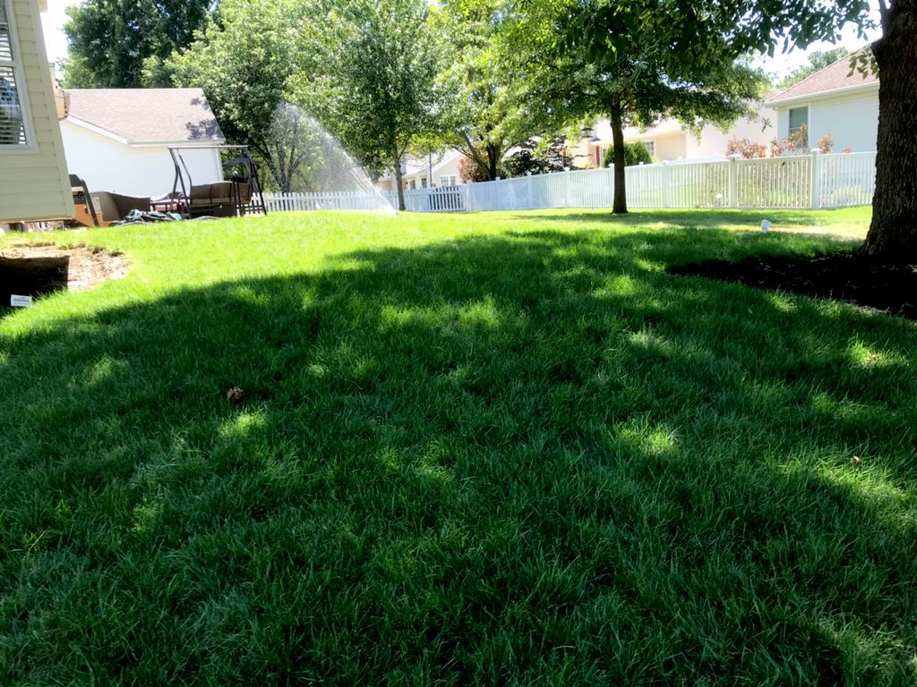 Pioneer Lawn Care