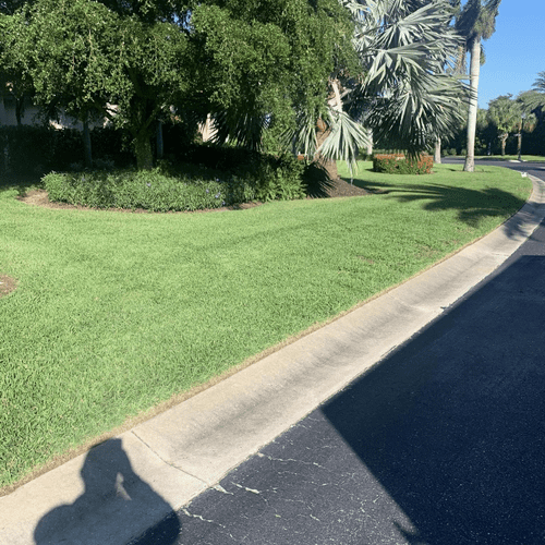 Sherlock Homes Pest Control & Irrigation Cape Coral, FL